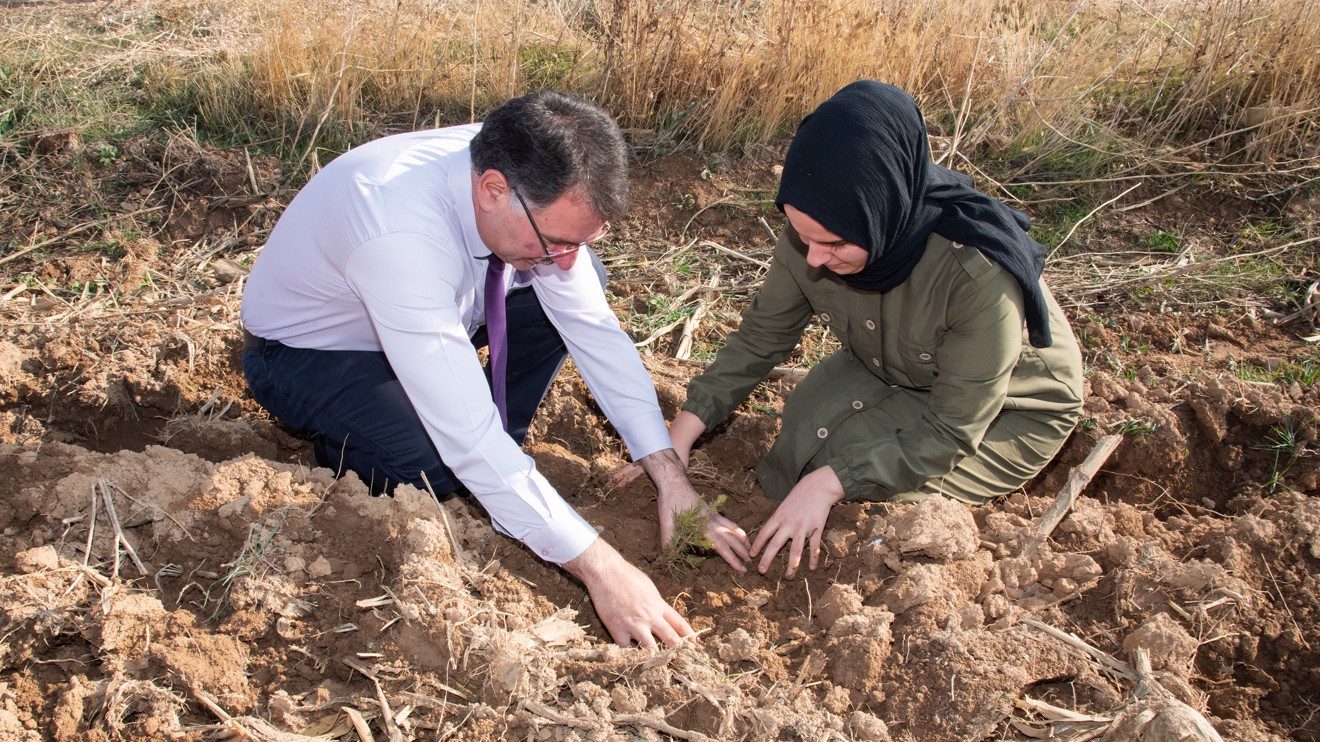 Selçuk Üniversitesi Sarıcalar Araştırma ve Uygulama Çiftliğinde 12 bin fidan dikildi